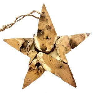 Rustic Artistic Large Ornament Or Wall Decor Star Hand Crafted Of Found Wood